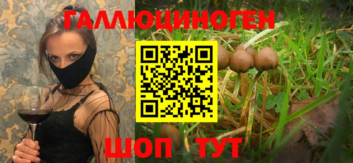 Псилоцибиновые грибы ЛСД  Галлюциногенные грибы GOLDEN TEACHER  Вход с VPN  наркота  Новый Уренгой 